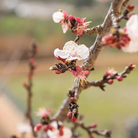 Lejlighed Casa Nel Centro Di Budoni