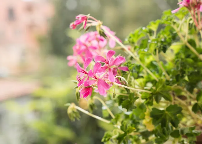 Апартаменты Casa Nel Centro Di